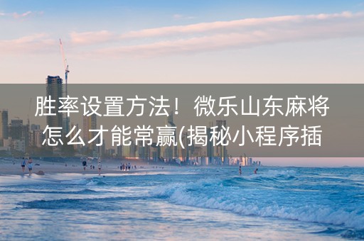 胜率设置方法！微乐山东麻将怎么才能常赢(揭秘小程序插件购买)