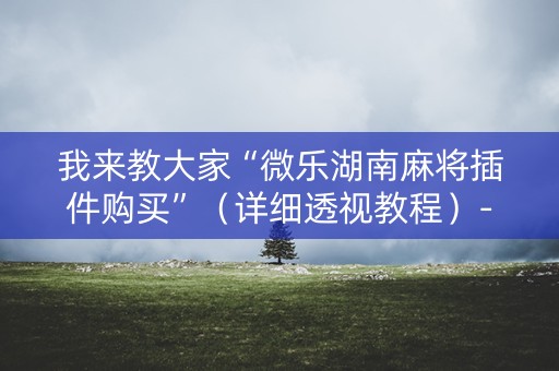 我来教大家“微乐湖南麻将插件购买”（详细透视教程）-哔哩哔哩