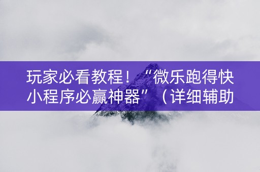 玩家必看教程！“微乐跑得快小程序必赢神器”（详细辅助教程）-哔哩哔哩