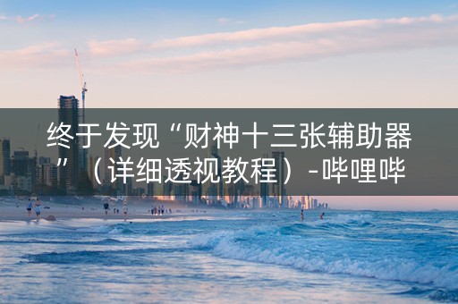 终于发现“财神十三张辅助器”（详细透视教程）-哔哩哔哩