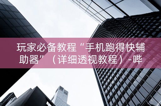 玩家必备教程“手机跑得快辅助器”（详细透视教程）-哔哩哔哩