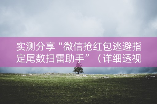实测分享“微信抢红包逃避指定尾数扫雷助手”（详细透视教程）-哔哩哔哩
