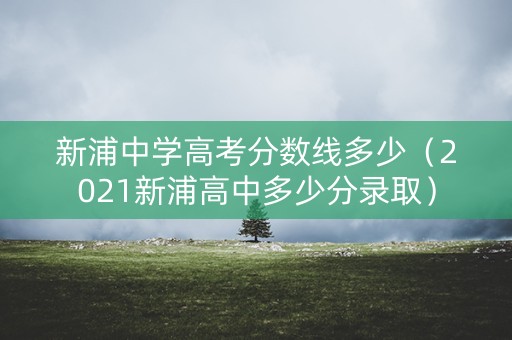 新浦中学高考分数线多少（2021新浦高中多少分录取）