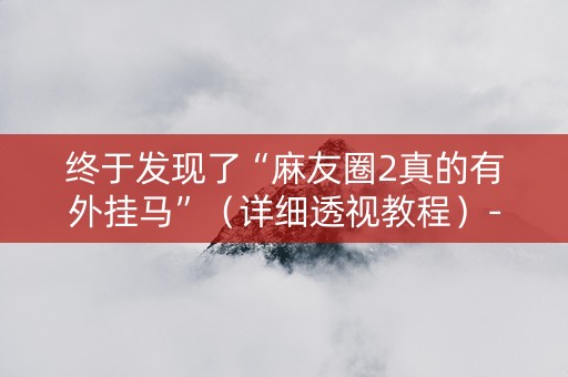 终于发现了“麻友圈2真的有外挂马”（详细透视教程）-哔哩哔哩