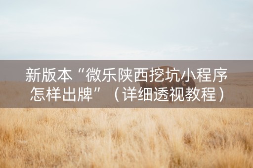 新版本“微乐陕西挖坑小程序怎样出牌”（详细透视教程）-哔哩哔哩