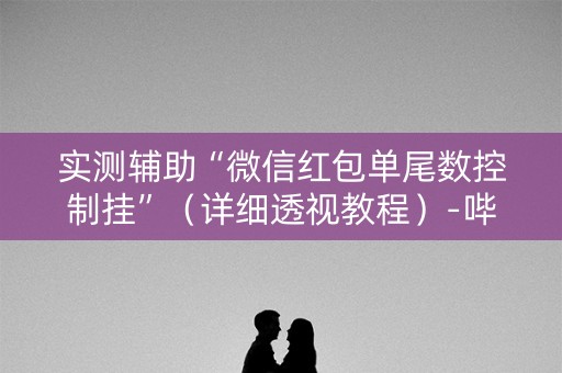 实测辅助“微信红包单尾数控制挂”（详细透视教程）-哔哩哔哩