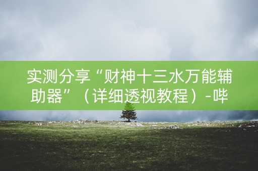 实测分享“财神十三水万能辅助器”（详细透视教程）-哔哩哔哩