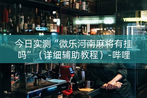 今日实测“微乐河南麻将有挂吗”（详细辅助教程）-哔哩哔哩