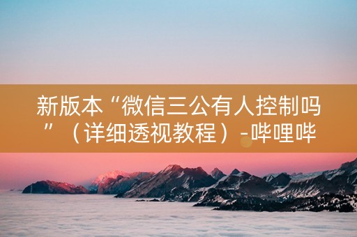 新版本“微信三公有人控制吗”（详细透视教程）-哔哩哔哩