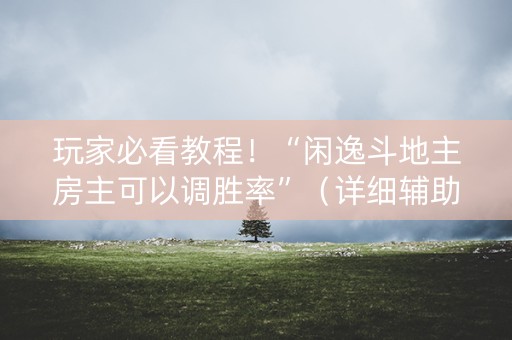 玩家必看教程！“闲逸斗地主房主可以调胜率”（详细辅助教程）-哔哩哔哩
