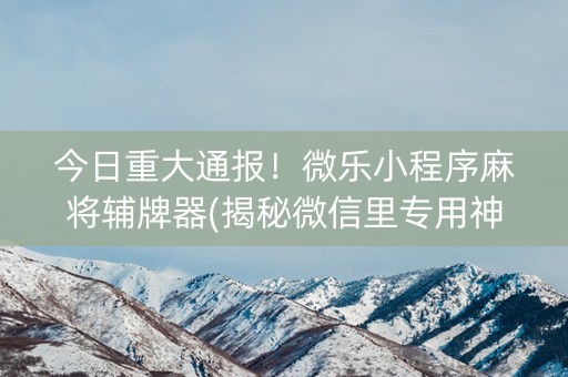 今日重大通报！微乐小程序麻将辅牌器(揭秘微信里专用神器下载)