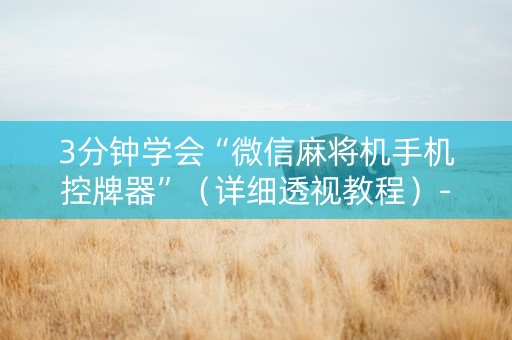 3分钟学会“微信麻将机手机控牌器”（详细透视教程）-哔哩哔哩