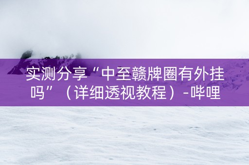 实测分享“中至赣牌圈有外挂吗”（详细透视教程）-哔哩哔哩