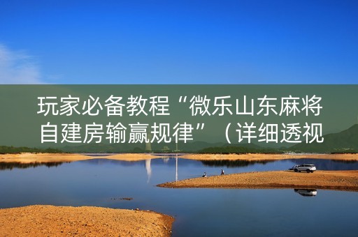 玩家必备教程“微乐山东麻将自建房输赢规律”（详细透视教程）-哔哩哔哩