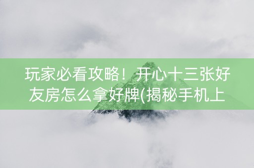 玩家必看攻略！开心十三张好友房怎么拿好牌(揭秘手机上胡牌技巧)