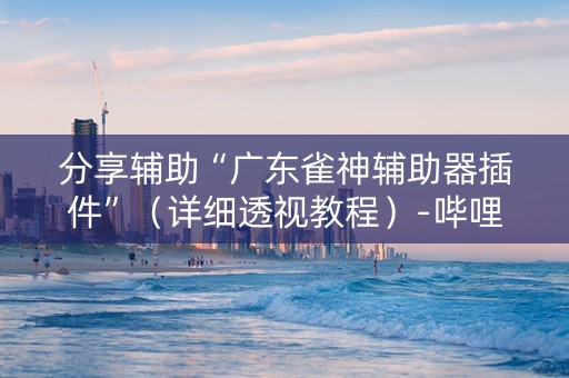 分享辅助“广东雀神辅助器插件”（详细透视教程）-哔哩哔哩