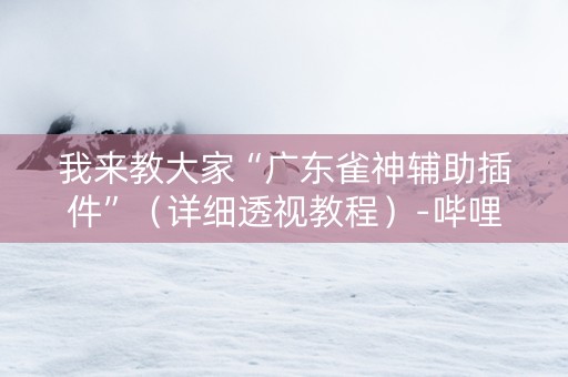 我来教大家“广东雀神辅助插件”（详细透视教程）-哔哩哔哩