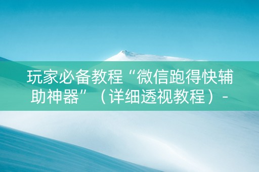 玩家必备教程“微信跑得快辅助神器”（详细透视教程）-哔哩哔哩