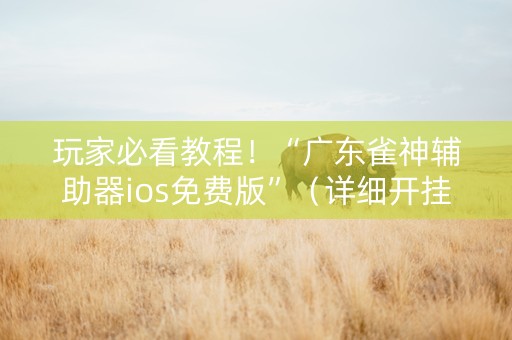 玩家必看教程！“广东雀神辅助器ios免费版”（详细开挂教程）-哔哩哔哩