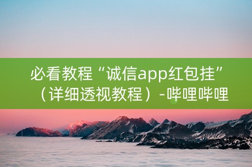 必看教程“诚信app红包挂”（详细透视教程）-哔哩哔哩