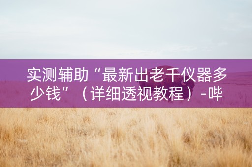 实测辅助“最新出老千仪器多少钱”（详细透视教程）-哔哩哔哩
