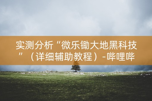 实测分析“微乐锄大地黑科技”（详细辅助教程）-哔哩哔哩