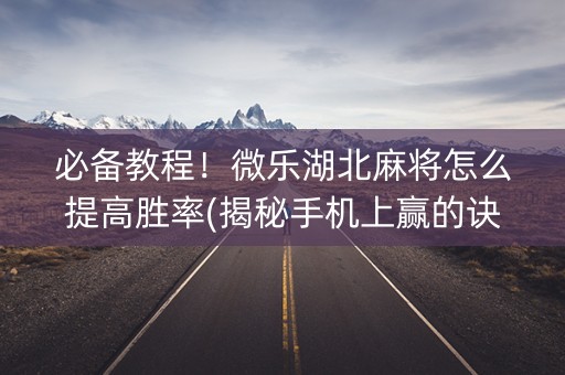 必备教程！微乐湖北麻将怎么提高胜率(揭秘手机上赢的诀窍)