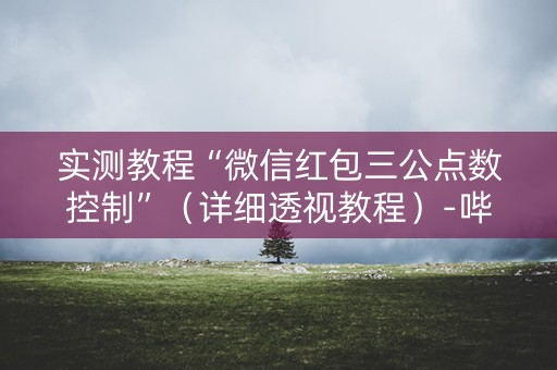 实测教程“微信红包三公点数控制”（详细透视教程）-哔哩哔哩