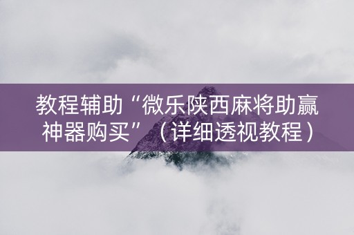 教程辅助“微乐陕西麻将助赢神器购买”（详细透视教程）-哔哩哔哩