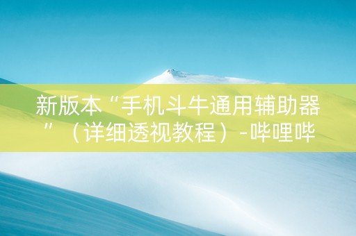 新版本“手机斗牛通用辅助器”（详细透视教程）-哔哩哔哩