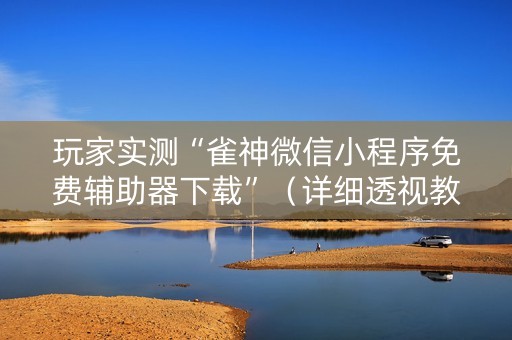 玩家实测“雀神微信小程序免费辅助器下载”（详细透视教程）-哔哩哔哩