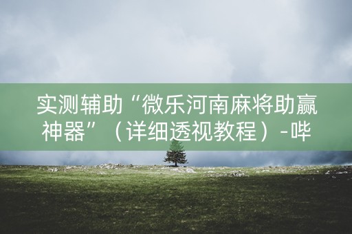 实测辅助“微乐河南麻将助赢神器”（详细透视教程）-哔哩哔哩