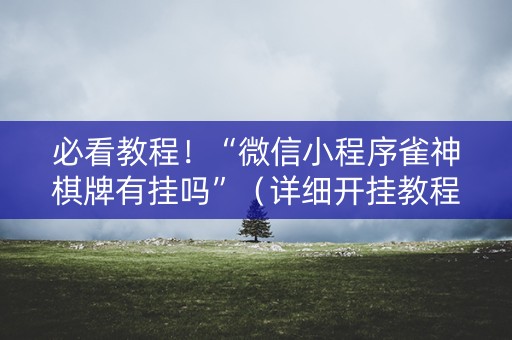 必看教程！“微信小程序雀神棋牌有挂吗”（详细开挂教程）-哔哩哔哩