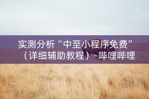 实测分析“中至小程序免费”（详细辅助教程）-哔哩哔哩