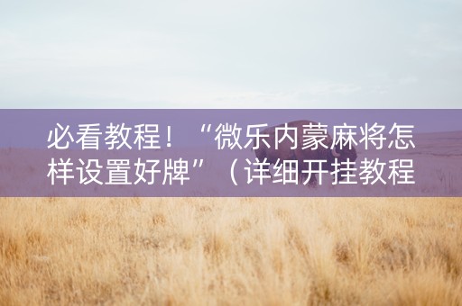 必看教程！“微乐内蒙麻将怎样设置好牌”（详细开挂教程）-哔哩哔哩