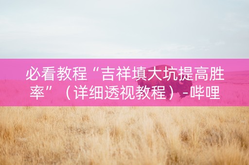 必看教程“吉祥填大坑提高胜率”（详细透视教程）-哔哩哔哩