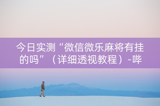 今日实测“微信微乐麻将有挂的吗”（详细透视教程）-哔哩哔哩