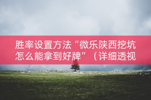 胜率设置方法“微乐陕西挖坑怎么能拿到好牌”（详细透视教程）-哔哩哔哩