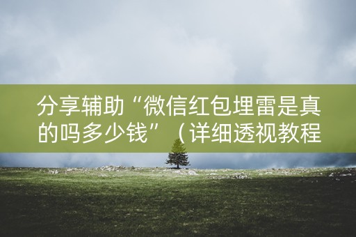 分享辅助“微信红包埋雷是真的吗多少钱”（详细透视教程）-哔哩哔哩