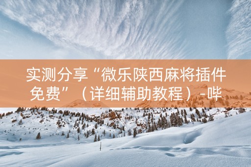 实测分享“微乐陕西麻将插件免费”（详细辅助教程）-哔哩哔哩