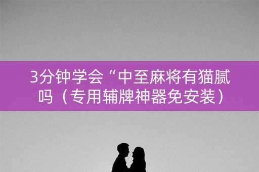 3分钟学会“中至麻将有猫腻吗（专用辅牌神器免安装）