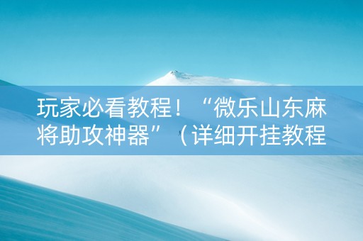 玩家必看教程！“微乐山东麻将助攻神器”（详细开挂教程）-哔哩哔哩