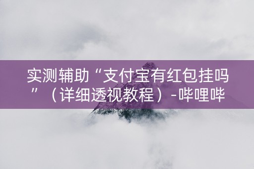 实测辅助“支付宝有红包挂吗”（详细透视教程）-哔哩哔哩