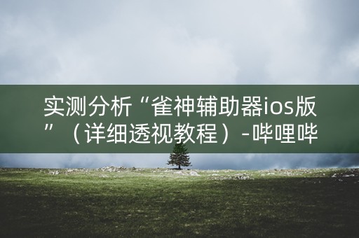实测分析“雀神辅助器ios版”（详细透视教程）-哔哩哔哩