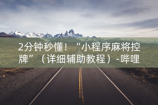 2分钟秒懂！“小程序麻将控牌”（详细辅助教程）-哔哩哔哩