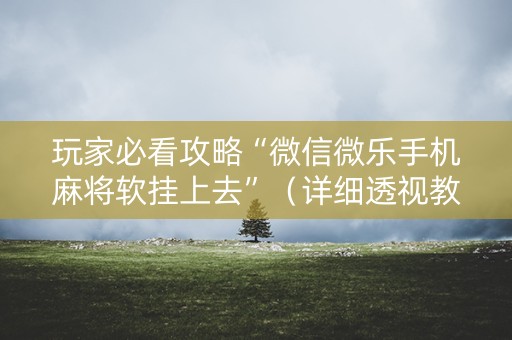 玩家必看攻略“微信微乐手机麻将软挂上去”（详细透视教程）-哔哩哔哩