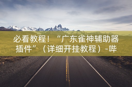 必看教程！“广东雀神辅助器插件”（详细开挂教程）-哔哩哔哩