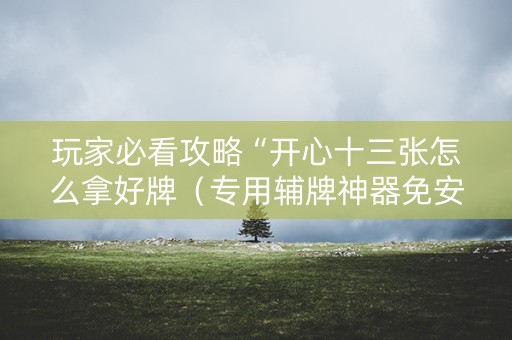玩家必看攻略“开心十三张怎么拿好牌（专用辅牌神器免安装）