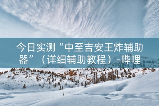 今日实测“中至吉安王炸辅助器”（详细辅助教程）-哔哩哔哩