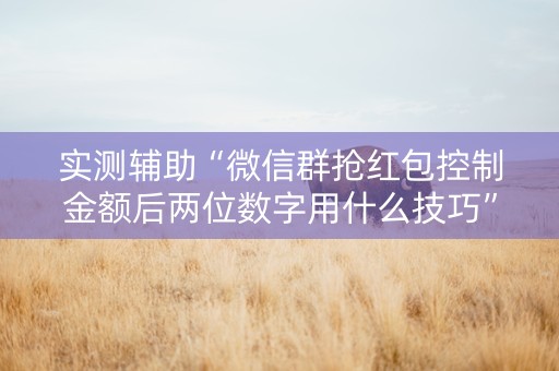 实测辅助“微信群抢红包控制金额后两位数字用什么技巧”（详细透视教程）-哔哩哔哩